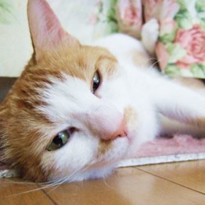 あっという間に年末 あっという間に年末