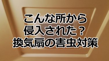 楽しいぼっちライフ