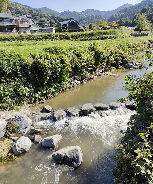 明日香村07